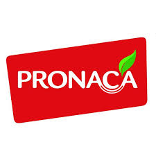 pronaca